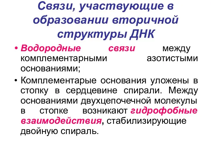 Связи, участвующие в образовании вторичной структуры ДНК Водородные связи между