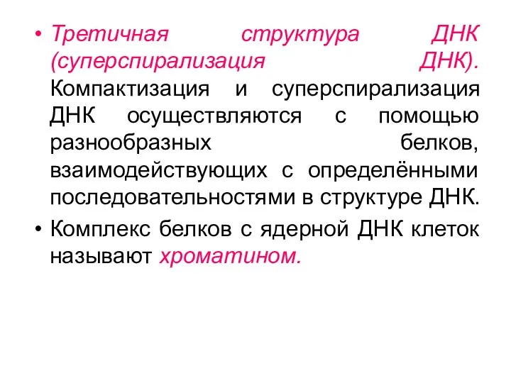 Третичная структура ДНК (суперспирализация ДНК). Компактизация и суперспирализация ДНК осуществляются