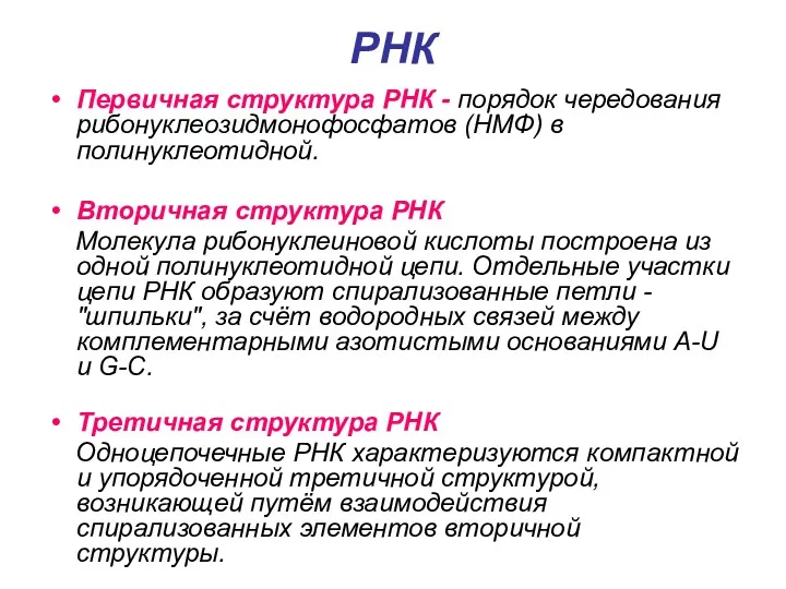 РНК Первичная структура РНК - порядок чередования рибонуклеозидмонофосфатов (НМФ) в