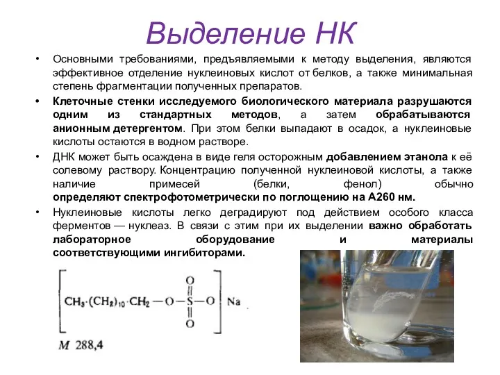 Выделение НК Основными требованиями, предъявляемыми к методу выделения, являются эффективное