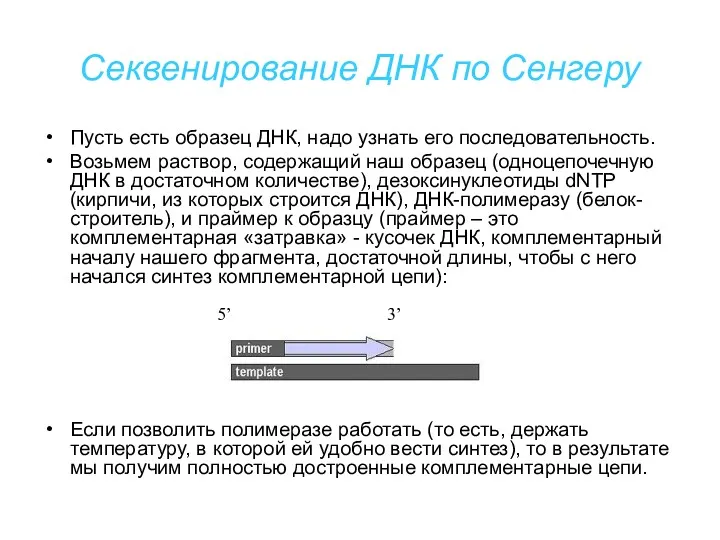 Секвенирование ДНК по Сенгеру Пусть есть образец ДНК, надо узнать