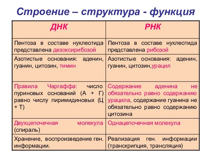 Строение – структура - функция