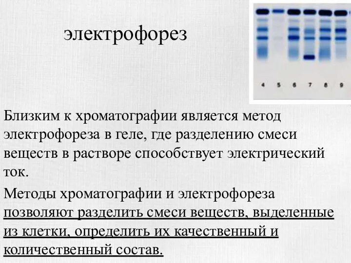 электрофорез Близким к хроматографии является метод электрофореза в геле, где