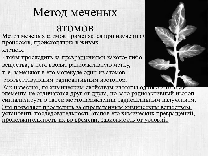 Метод меченых атомов Метод меченых атомов применяется при изучении биохимических