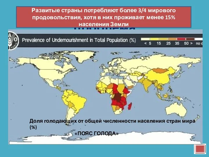 Продовольственная проблема Развитые страны потребляют более 3/4 мирового продовольствия, хотя