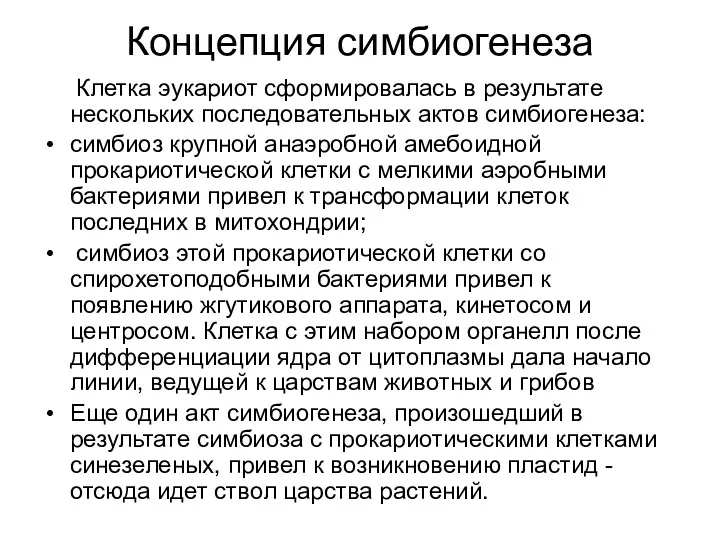 Концепция симбиогенеза Клетка эукариот сформировалась в результате нескольких последовательных актов