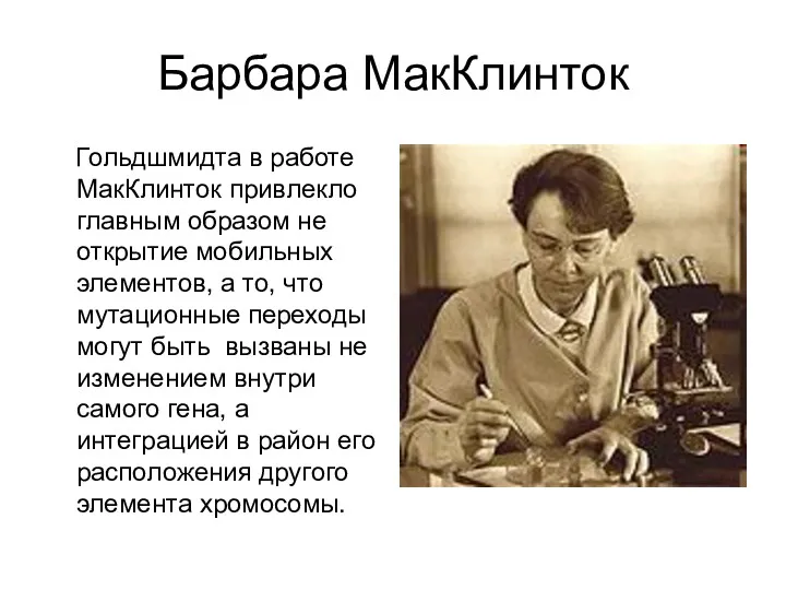 Барбара МакКлинток Гольдшмидта в работе МакКлинток привлекло главным образом не