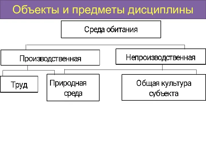 Объекты и предметы дисциплины