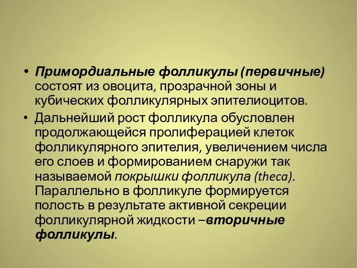 Примордиальные фолликулы (первичные) состоят из овоцита, прозрачной зоны и кубических