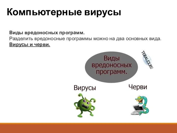 Компьютерные вирусы Виды вредоносных программ. Разделить вредоносные программы можно на два основных вида. Вирусы и черви.