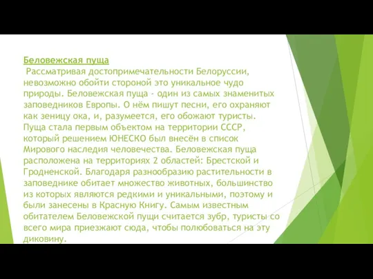 Беловежская пуща Рассматривая достопримечательности Белоруссии, невозможно обойти стороной это уникальное