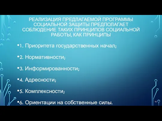 РЕАЛИЗАЦИЯ ПРЕДЛАГАЕМОЙ ПРОГРАММЫ СОЦИАЛЬНОЙ ЗАЩИТЫ ПРЕДПОЛАГАЕТ СОБЛЮДЕНИЕ ТАКИХ ПРИНЦИПОВ СОЦИАЛЬНОЙ