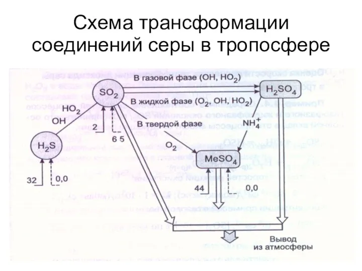 Схема трансформации соединений серы в тропосфере