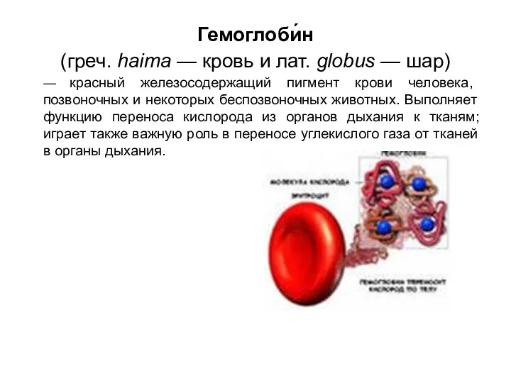 Гемоглоби́н (греч. haima — кровь и лат. globus — шар)