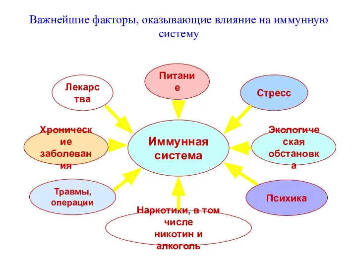 Важнейшие факторы, оказывающие влияние на иммунную систему Лекарства Наркотики, в