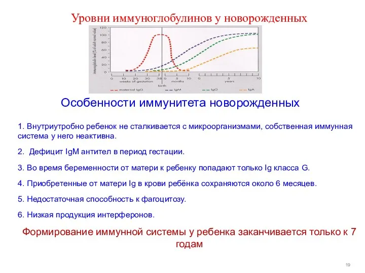 Уровни иммуноглобулинов у новорожденных 1. Внутриутробно ребенок не сталкивается с