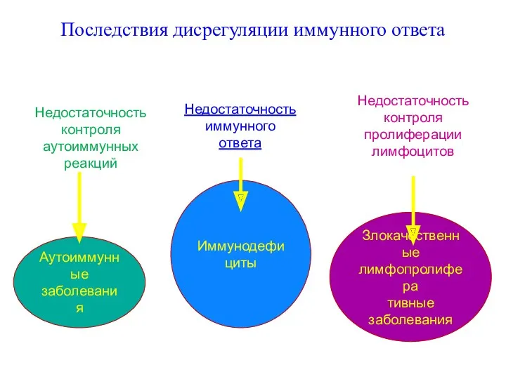 Последствия дисрегуляции иммунного ответа Аутоиммунные заболевания Иммунодефициты Злокачественные лимфопролифера тивные