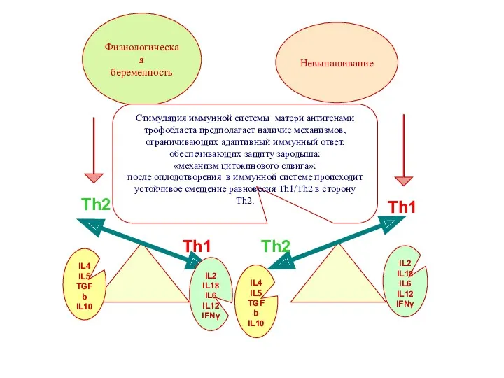 Физиологическая беременность Th2 Th1 Th2 Th1 Невынашивание IL4 IL5 TGFb IL10 IL4 IL5