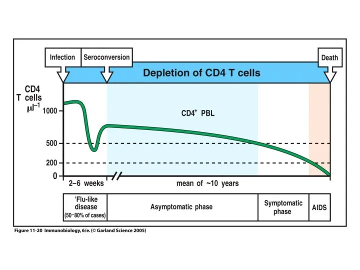 Figure 11-20