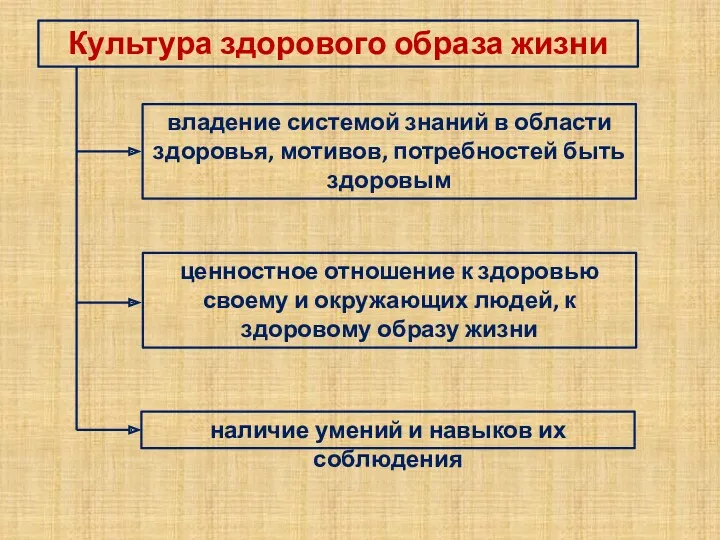 Культура здорового образа жизни владение системой знаний в области здоровья,