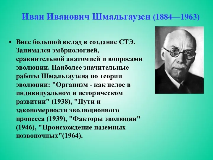 Иван Иванович Шмальгаузен (1884—1963) Внес большой вклад в создание СТЭ. Занимался эмбриологией, сравнительной