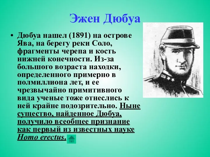 Эжен Дюбуа Дюбуа нашел (1891) на острове Ява, на берегу