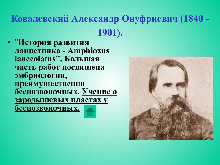 Ковалевский Александр Онуфриевич (1840 - 1901). "История развития ланцетника -