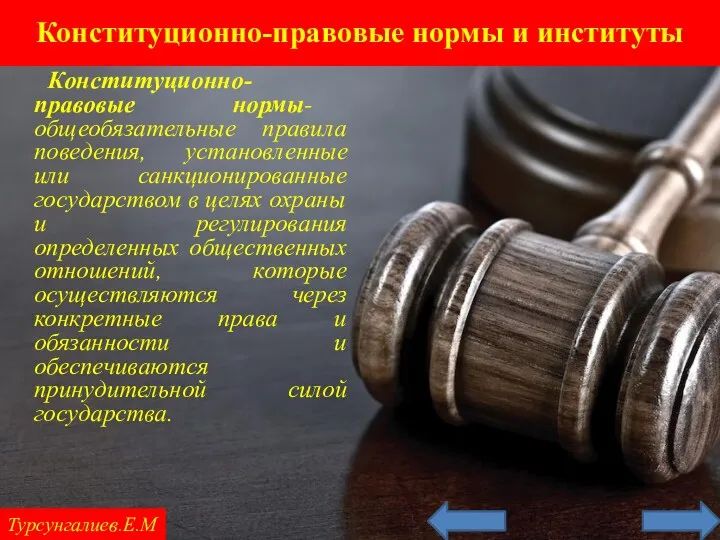 Конституционно-правовые нормы и институты Турсунгалиев.Е.М Конституционно-правовые нормы- общеобязательные правила поведения, установленные или санкционированные