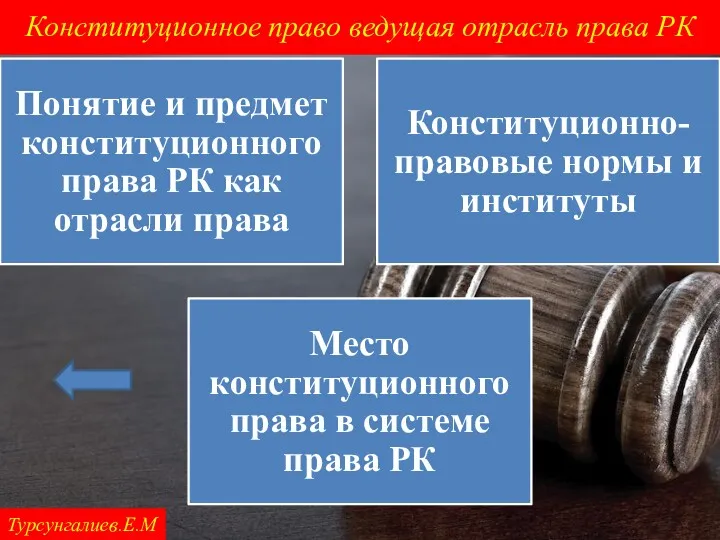 Конституционное право ведущая отрасль права РК Турсунгалиев.Е.М