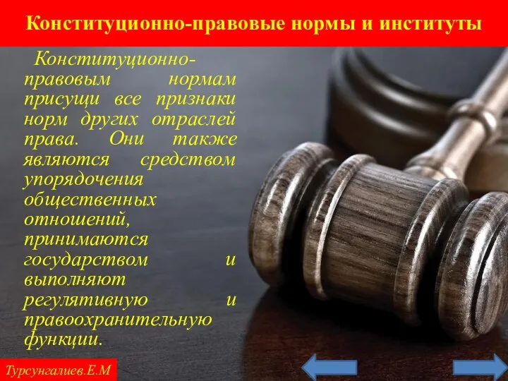 Конституционно-правовые нормы и институты Турсунгалиев.Е.М Конституционно-правовым нормам присущи все признаки норм других отраслей