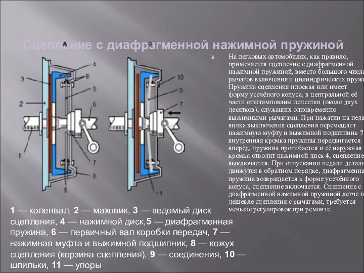 Сцепление с диафрагменной нажимной пружиной На легковых автомобилях, как правило,