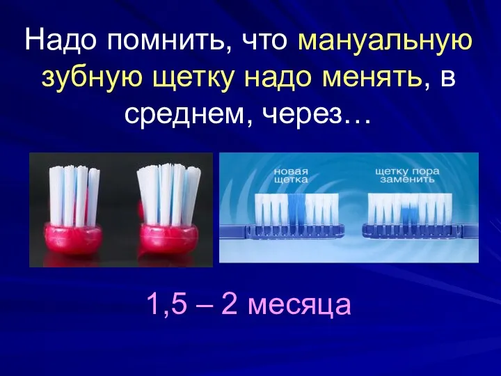 Надо помнить, что мануальную зубную щетку надо менять, в среднем, через… 1,5 – 2 месяца