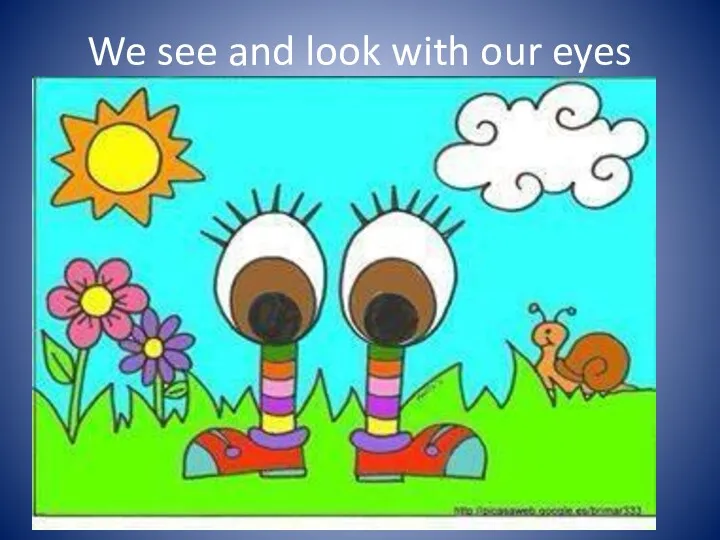 We see and look with our eyes