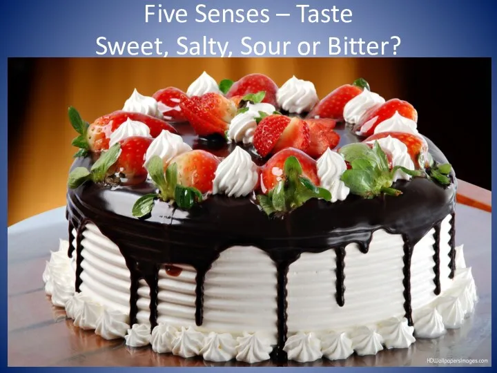 Five Senses – Taste Sweet, Salty, Sour or Bitter?