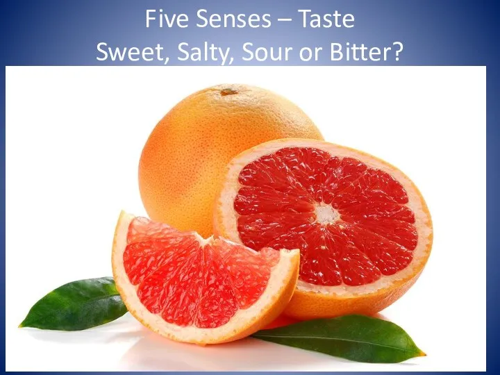 Five Senses – Taste Sweet, Salty, Sour or Bitter?