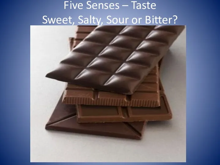 Five Senses – Taste Sweet, Salty, Sour or Bitter?