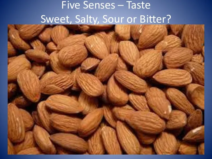 Five Senses – Taste Sweet, Salty, Sour or Bitter?