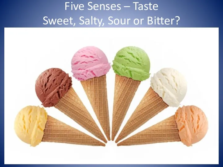 Five Senses – Taste Sweet, Salty, Sour or Bitter?