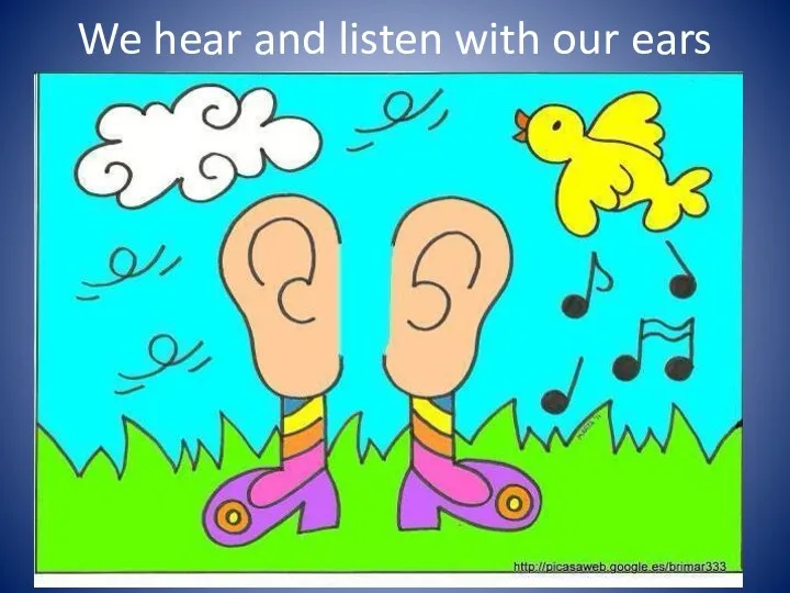 We hear and listen with our ears