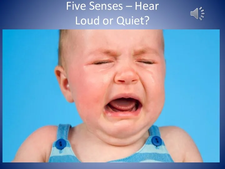 Five Senses – Hear Loud or Quiet?