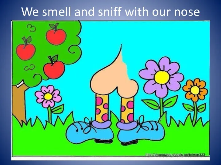 We smell and sniff with our nose