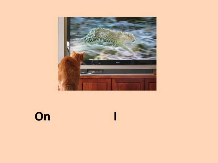 On Tuesday I watch TV,