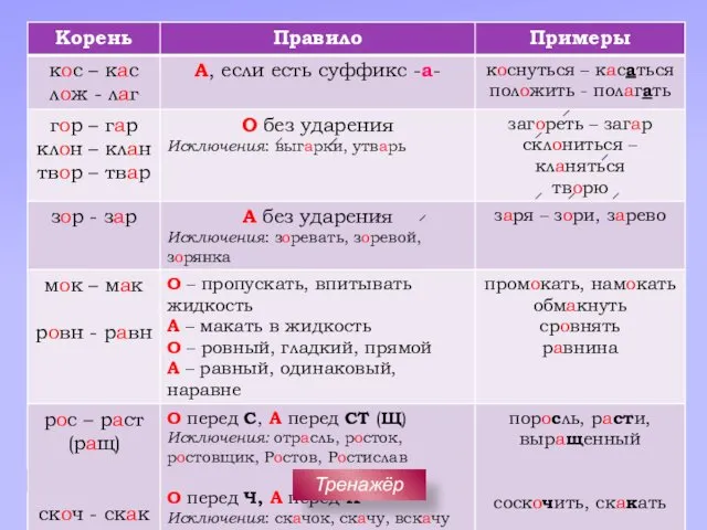 Тренажёр