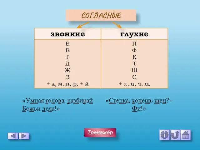 Тренажёр СОГЛАСНЫЕ «Степка, хочешь щец? - Фи!» «Умная голова, разбирай Божьи дела!»