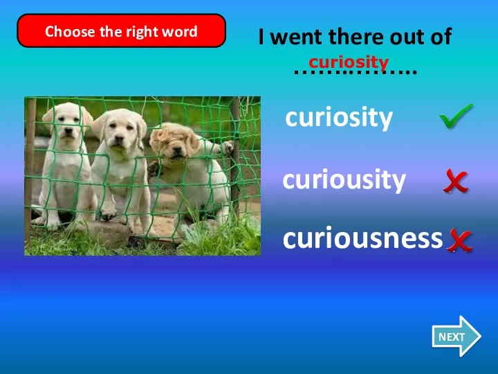 curiousity curiosity curiousness I went there out of ……..…….. NEXT Choose the right word curiosity