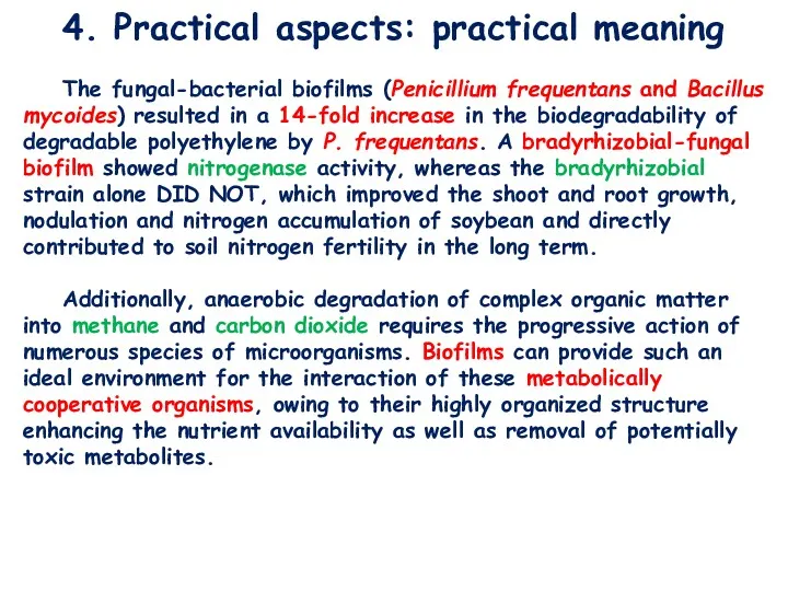 4. Practical aspects: practical meaning The fungal-bacterial biofilms (Penicillium frequentans