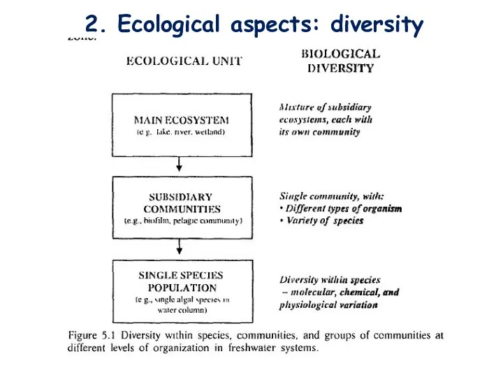 2. Ecological aspects: diversity intraspecies)