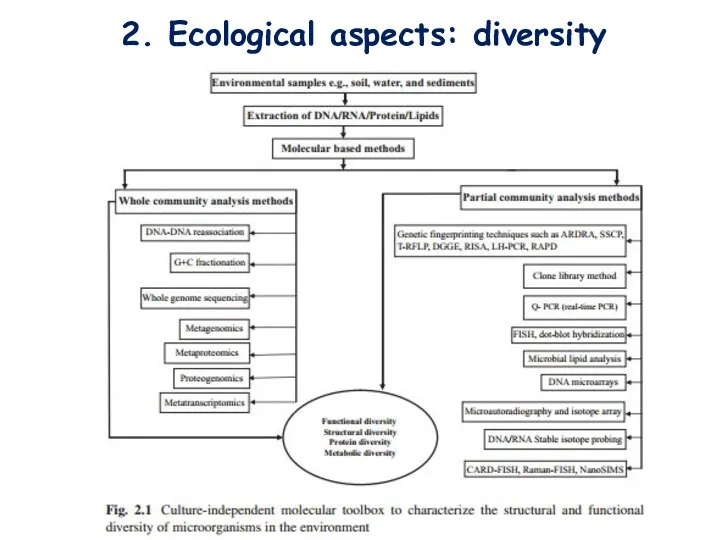 2. Ecological aspects: diversity