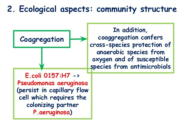 2. Ecological aspects: community structure Coagregation E.coli 0157:H7 -> Pseudomonas