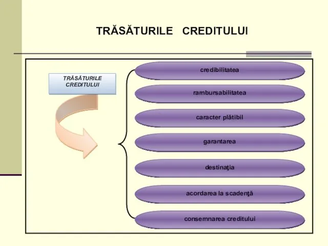 TRĂSĂTURILE CREDITULUI